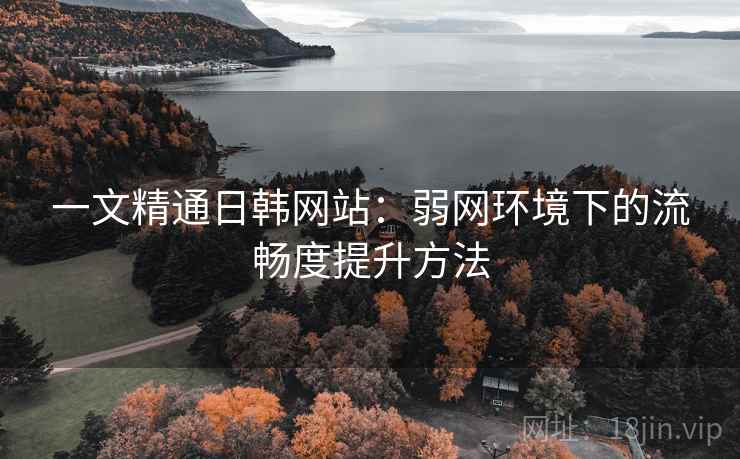 一文精通日韩网站：弱网环境下的流畅度提升方法