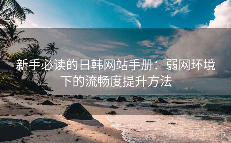 新手必读的日韩网站手册：弱网环境下的流畅度提升方法