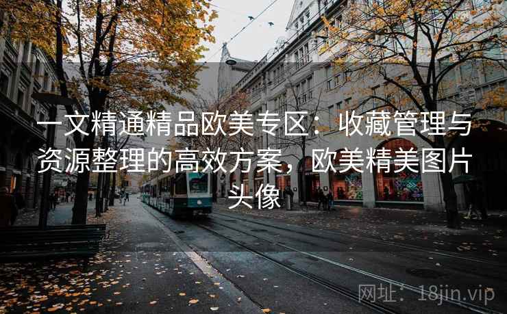 一文精通精品欧美专区:收藏管理与资源整理的高效方案,欧美精美图片头像 一文精通精品欧美专区:收藏管理与资源整理的高效方案,欧美精美图片头像