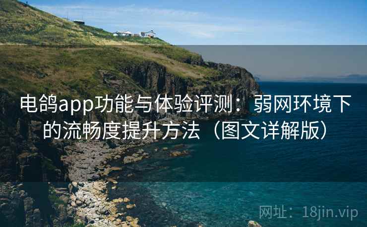 电鸽app功能与体验评测：弱网环境下的流畅度提升方法（图文详解版）