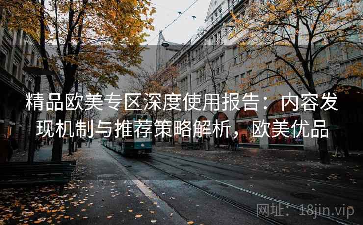 精品欧美专区深度使用报告：内容发现机制与推荐策略解析，欧美优品