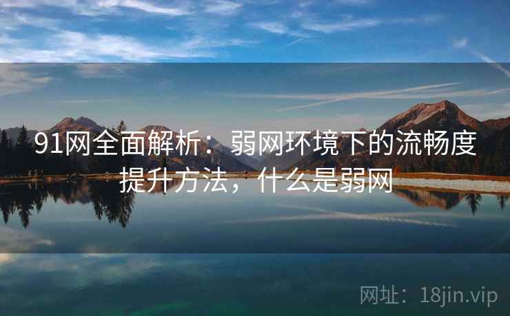 91网全面解析:弱网环境下的流畅度提升方法,什么是弱网 91网全面解析:弱网环境下的流畅度提升方法,什么是弱网