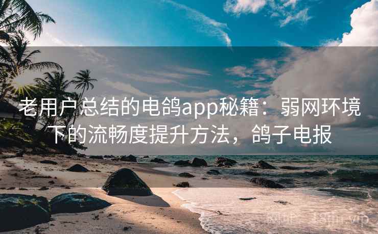 老用户总结的电鸽app秘籍:弱网环境下的流畅度提升方法,鸽子电报 老用户总结的电鸽app秘籍:弱网环境下的流畅度提升方法,鸽子电报