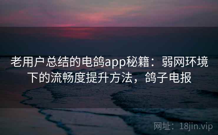 老用户总结的电鸽app秘籍:弱网环境下的流畅度提升方法,鸽子电报 老用户总结的电鸽app秘籍:弱网环境下的流畅度提升方法,鸽子电报