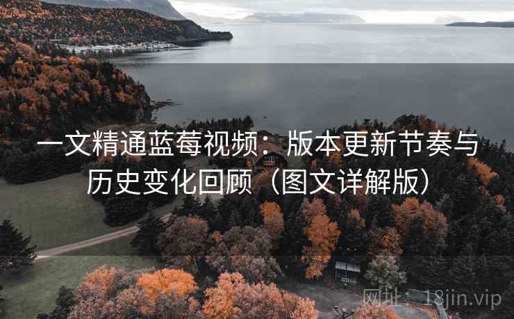 一文精通蓝莓视频：版本更新节奏与历史变化回顾（图文详解版）