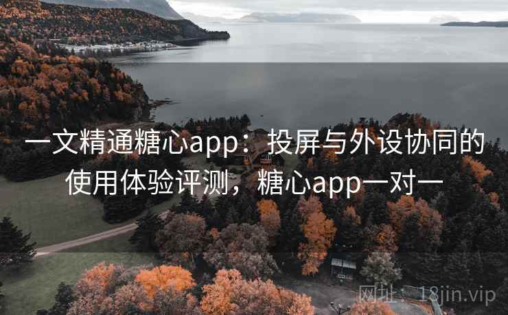 一文精通糖心app：投屏与外设协同的使用体验评测，糖心app一对一