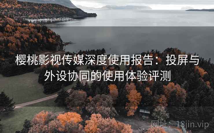 樱桃影视传媒深度使用报告：投屏与外设协同的使用体验评测