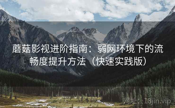 蘑菇影视进阶指南：弱网环境下的流畅度提升方法（快速实践版）