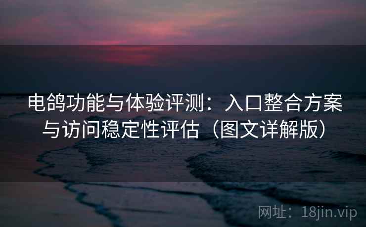 电鸽功能与体验评测:入口整合方案与访问稳定性评估(图文详解版) 电鸽功能与体验评测:入口整合方案与访问稳定性评估(图文详解版)