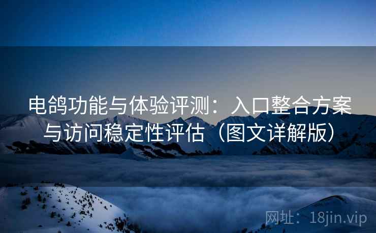 电鸽功能与体验评测：入口整合方案与访问稳定性评估（图文详解版）