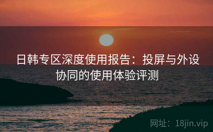 日韩专区深度使用报告：投屏与外设协同的使用体验评测