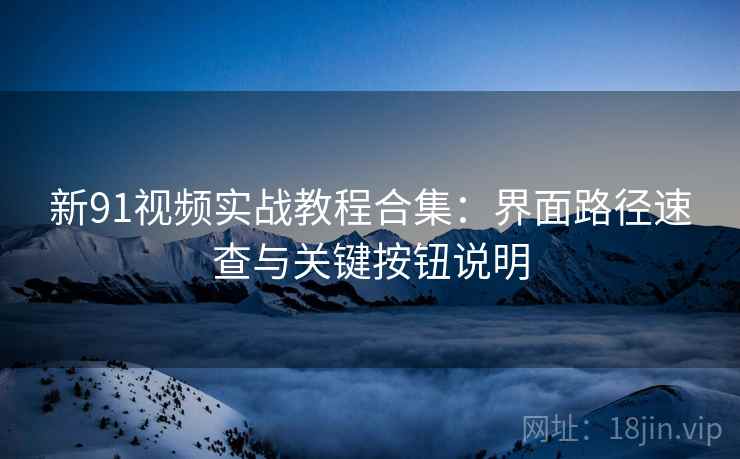 新91视频实战教程合集：界面路径速查与关键按钮说明