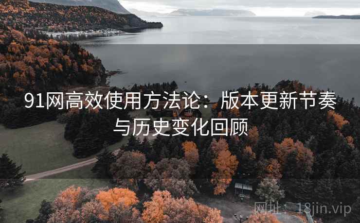 91网高效使用方法论：版本更新节奏与历史变化回顾