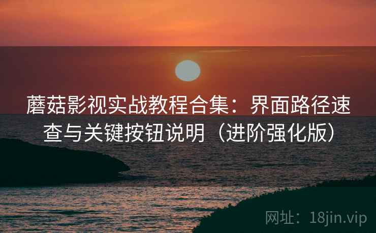 蘑菇影视实战教程合集：界面路径速查与关键按钮说明（进阶强化版）